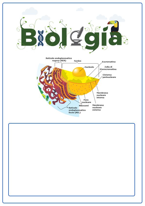 ▷ Caratula de Biología: Los MEJORES diseños del 【2023 】